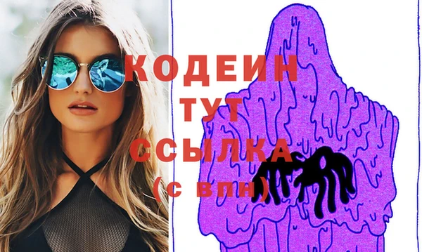 прущие грибы Кодинск