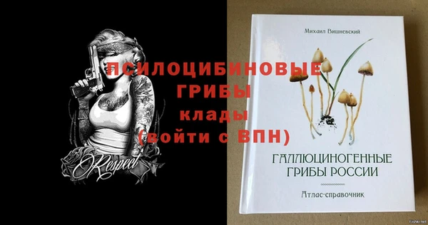 прущие грибы Кодинск