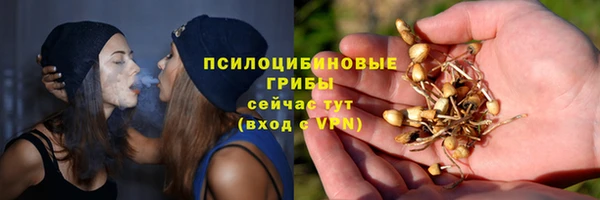 прущие грибы Кодинск