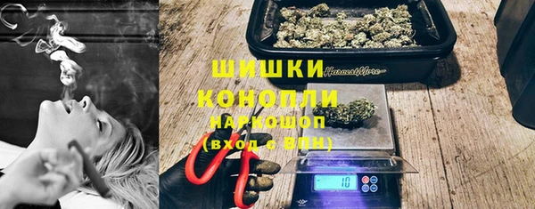 прущие грибы Кодинск