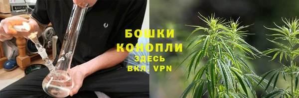 прущие грибы Кодинск