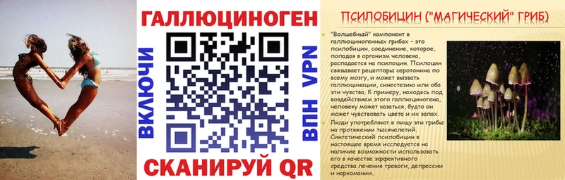 Псилоцибиновые грибы Psilocybe  Купить  Сосновоборск 